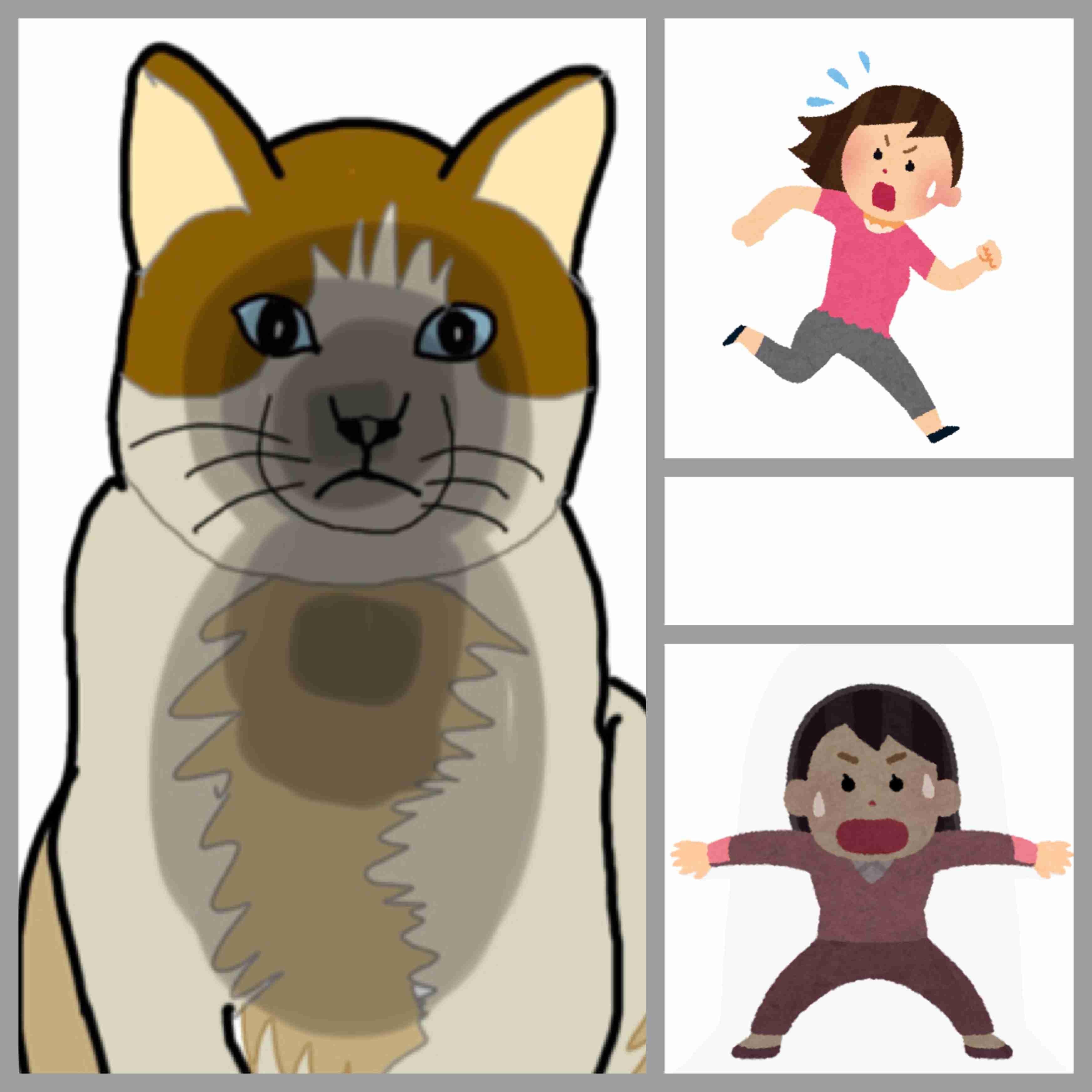 【コラトピ】この子をどこかに連れてってください