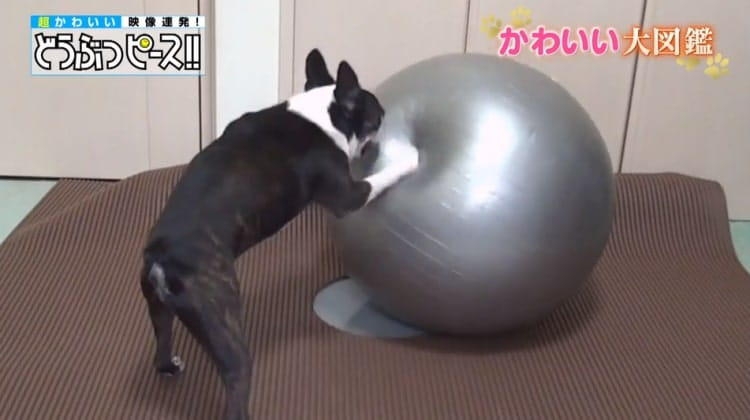 お金では買えないもの