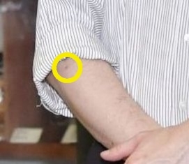 https://up.gc-img.net/post_img/2025/02/QZh1qkLVRoH6akh_Swfai_8273.jpeg