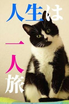 友達がいない人語ろう!