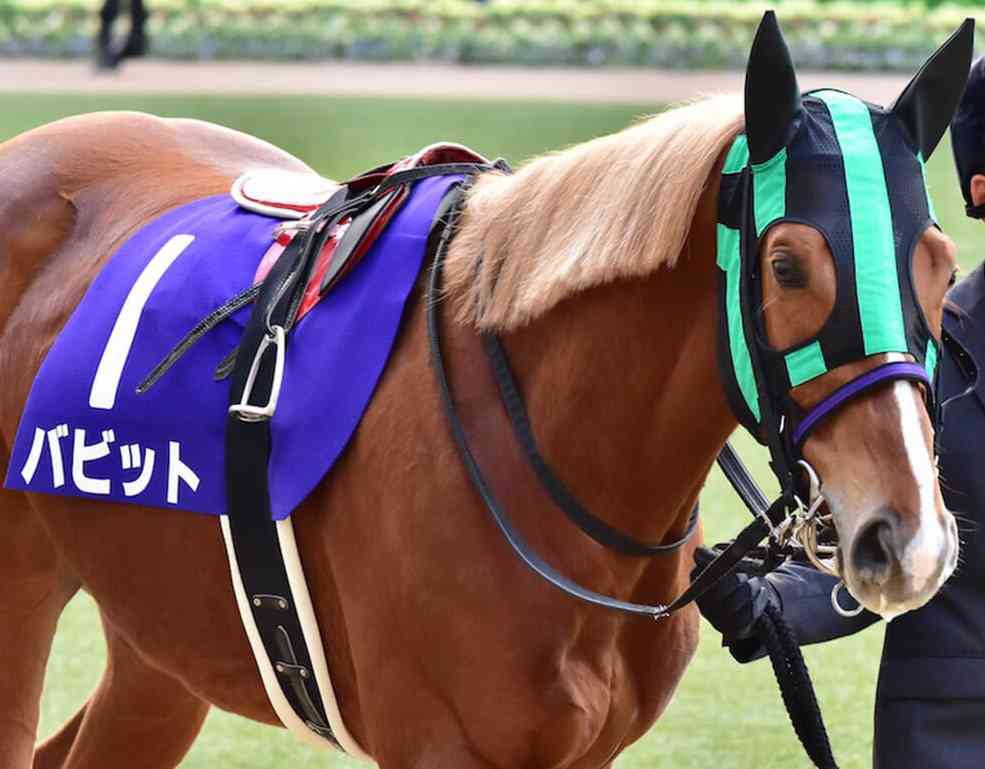 【競馬】UMAJO集まれ！Part38【アンチ厳禁】