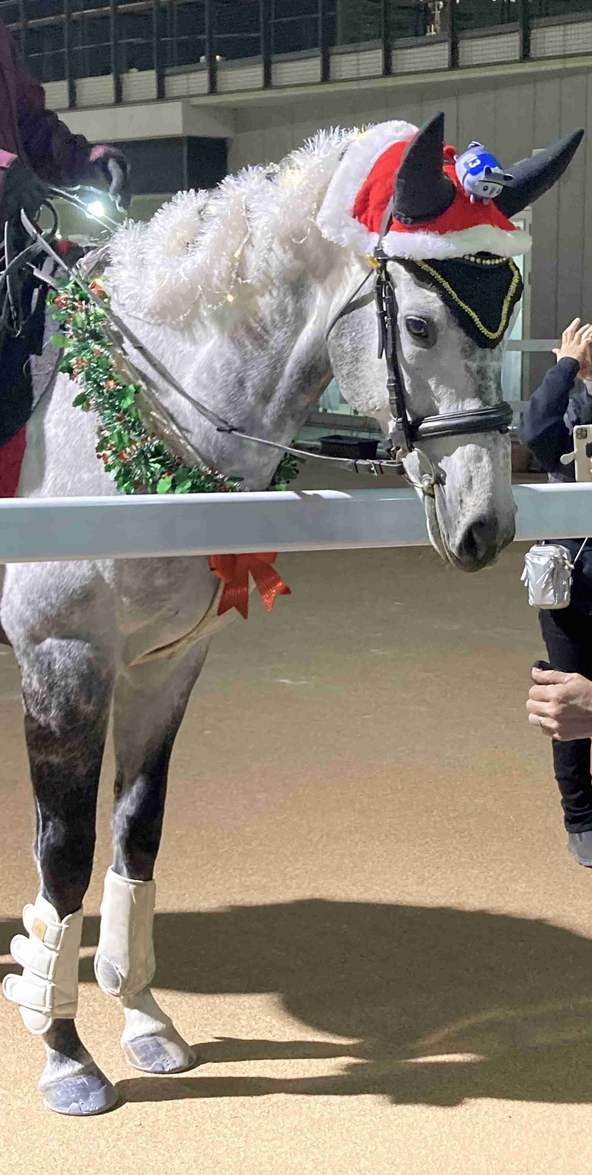 【競馬】UMAJO集まれ！Part38【アンチ厳禁】