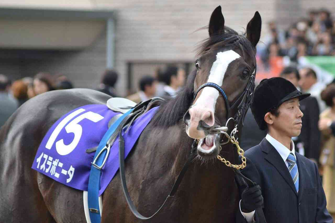 【競馬】UMAJO集まれ！Part38【アンチ厳禁】