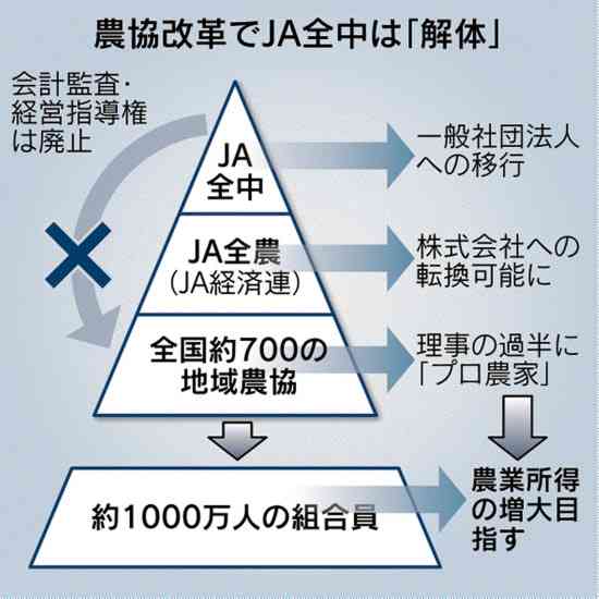 米価70%高騰の裏で…自民・農林族議員がJA関連団体から1.4億円を受け取っていた《備蓄米放出遅れの核心》