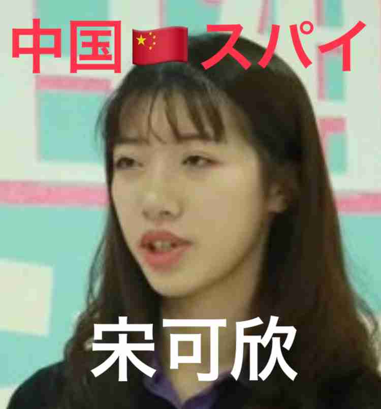 「物価高苦しい」「外国人旅行者に本来の税金を」立民・大西氏、訪日免税停止　首相は反論