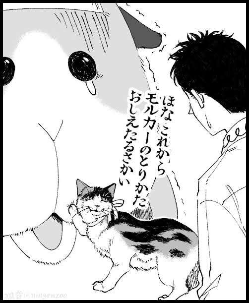 モルモットって可愛い