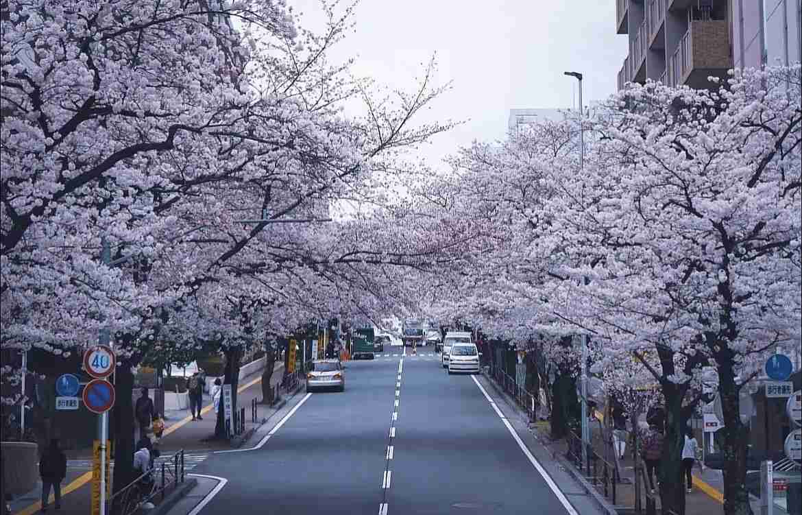 ガルちゃんでフルボッコに遭う都道府県の皆んな集合！Part4
