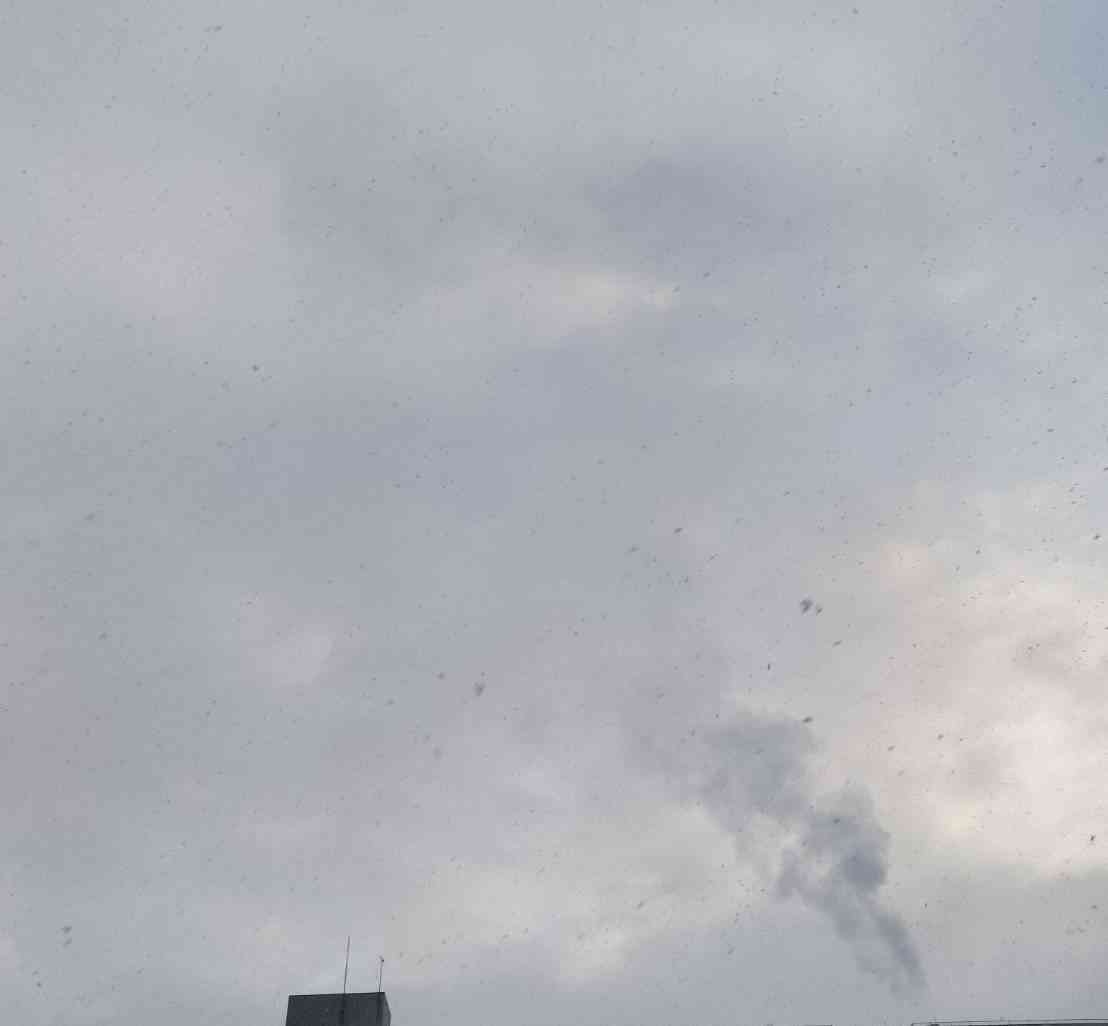 今日が寒気の影響ピーク 東海や近畿で高速道路など一部通行止め 新潟市では56年ぶりの大雪、日本海側は引き続き警戒