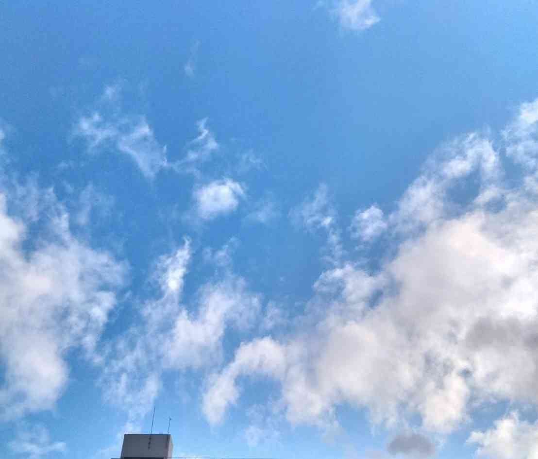 今日が寒気の影響ピーク 東海や近畿で高速道路など一部通行止め 新潟市では56年ぶりの大雪、日本海側は引き続き警戒