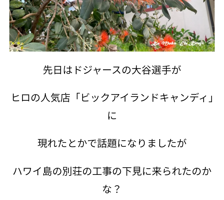 《水原一平、賠償金約26億円》「大谷翔平への支払いが終わるまで、我々はあらゆる手段をとる」連邦検事局の広報官が断言