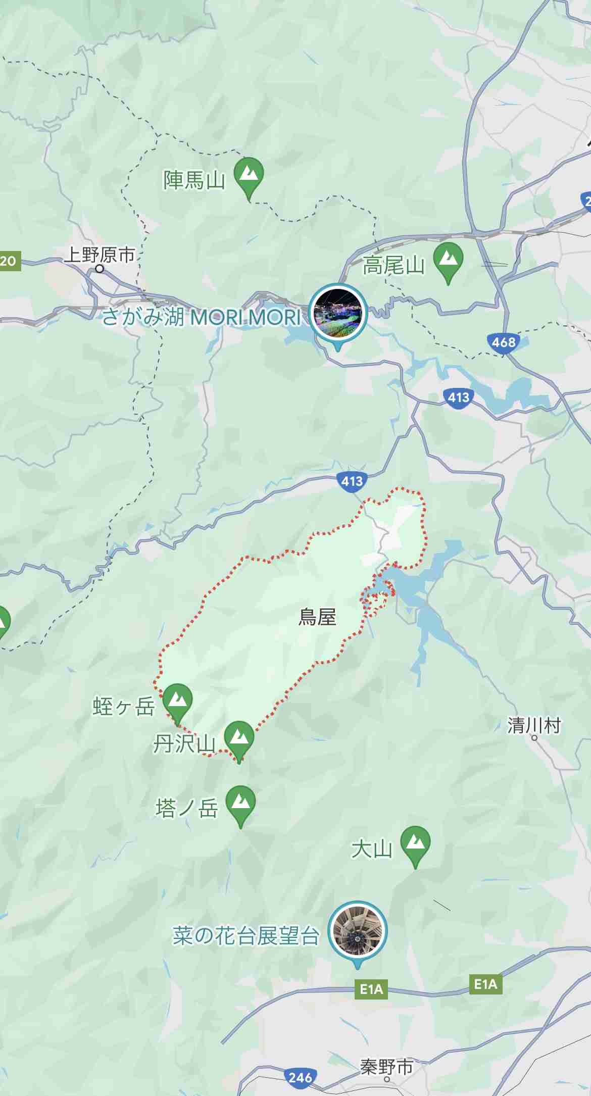 神奈川で山登り中の60代女性、クマにかまれ親指の先失う…林道付近の穴から飛び出す