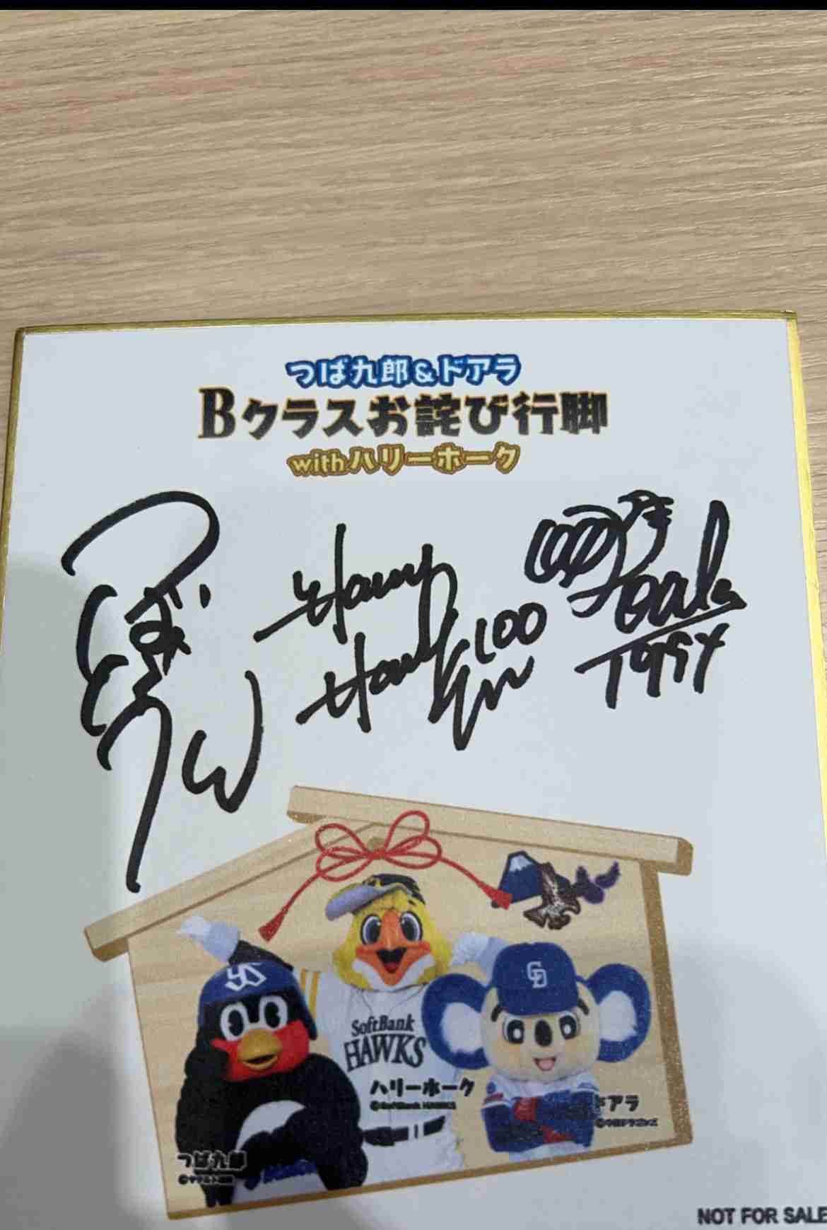 福岡ソフトバンクホークスファン集合!Part11