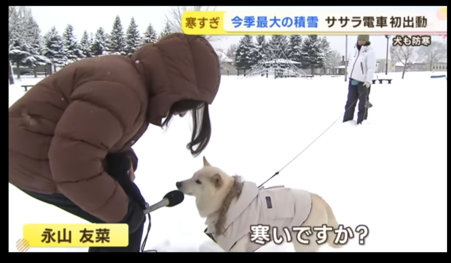 【スギちゃん雑談】【Part104】鬼は外!福はスギ