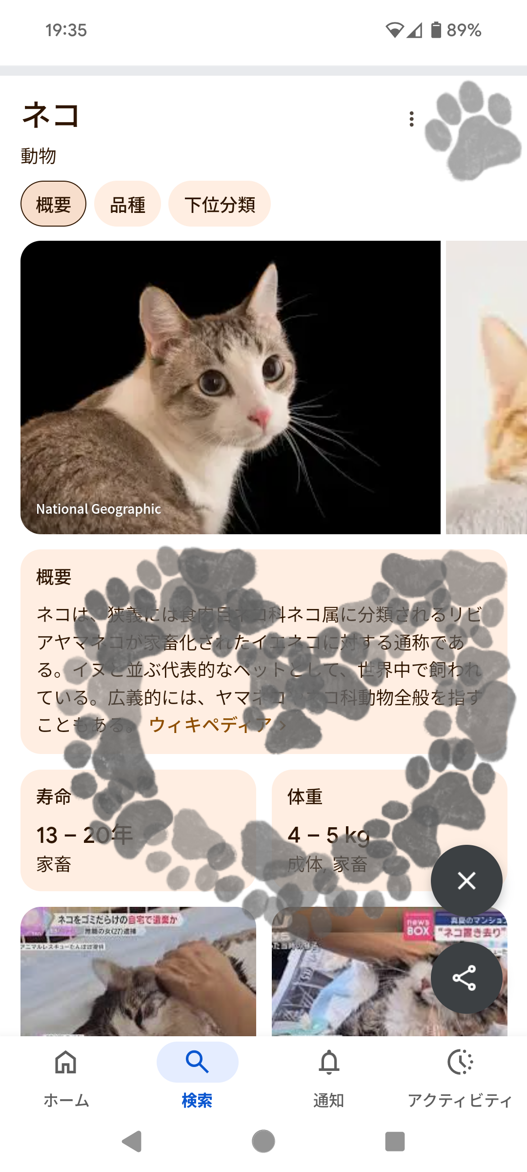 【スギちゃん雑談】【Part104】鬼は外!福はスギ