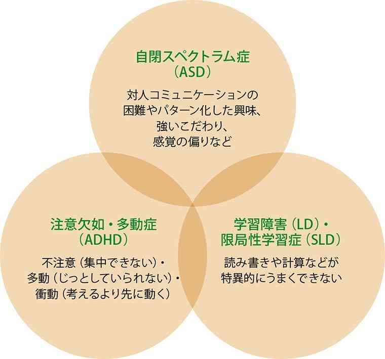 【全IQ100以上】高IQだけど凹凸のある発達障害【2Eタイプ】