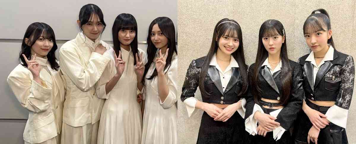 日本のアイドルあるある