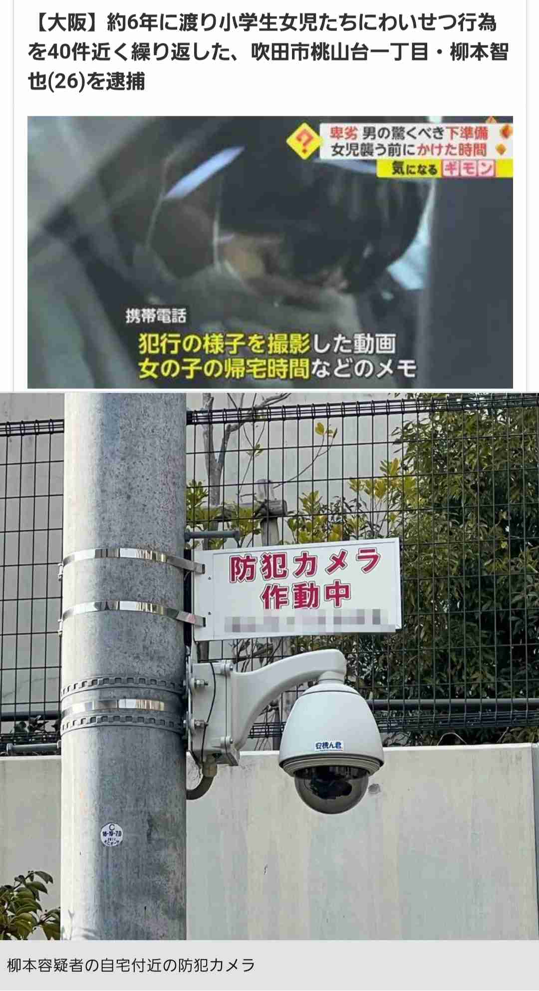 小学生女児10人に性的暴行、28歳男に無期懲役　「お母さん殺す」口止めに今もトラウマ