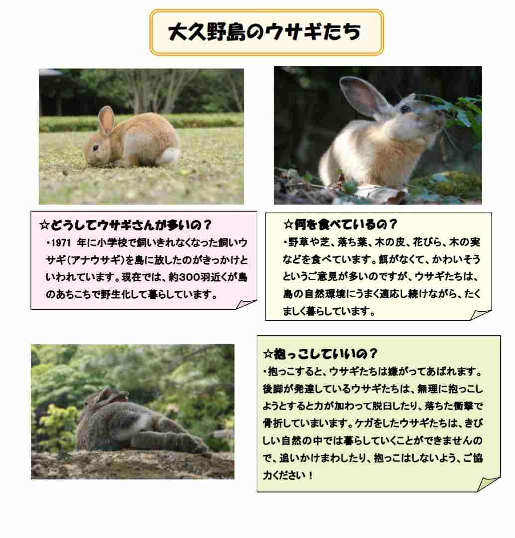 男のスマホにウサギ虐待の動画や画像も ウサギの口にはさみを入れ暴行か 広島県の「うさぎの島」で 会社員の男(25)を再逮捕 広島県警
