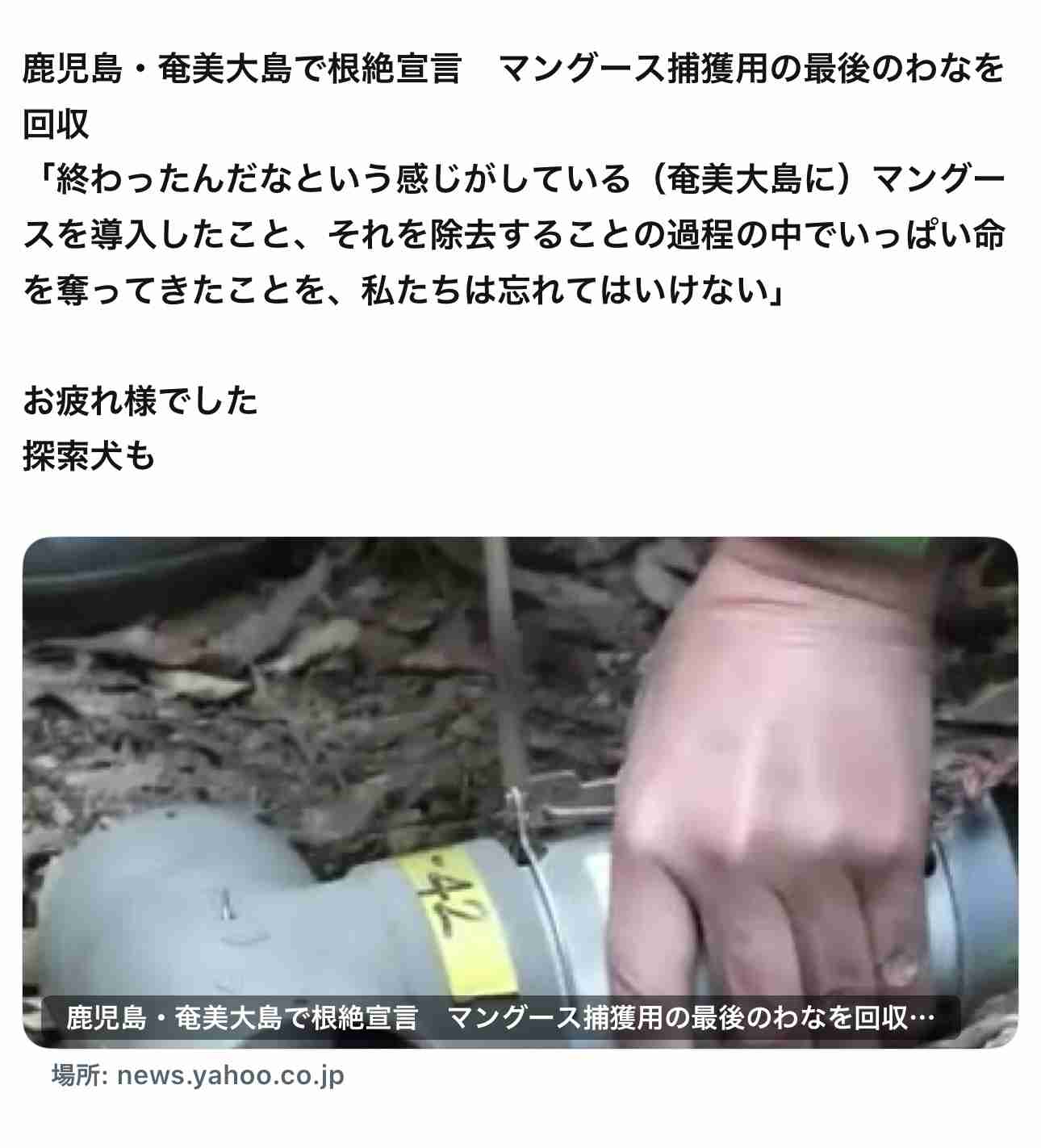 男のスマホにウサギ虐待の動画や画像も ウサギの口にはさみを入れ暴行か 広島県の「うさぎの島」で 会社員の男(25)を再逮捕 広島県警