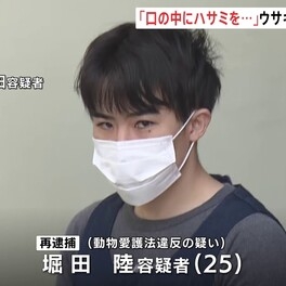 男のスマホにウサギ虐待の動画や画像も ウサギの口にはさみを入れ暴行か 広島県の「うさぎの島」で 会社員の男(25)を再逮捕 広島県警