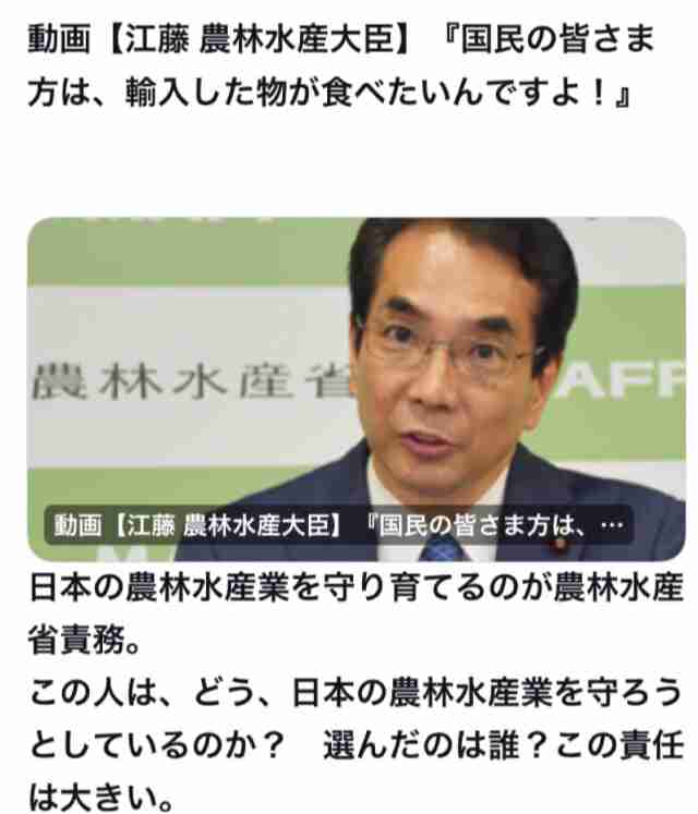 コメ買い付け“投機の対象”　異業種＆外国人参入で高騰か　備蓄米21万トン放出へ