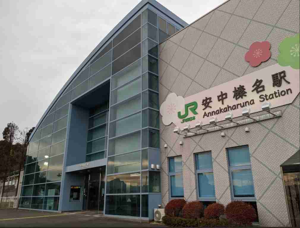 正直、不便だと思う新幹線の駅
