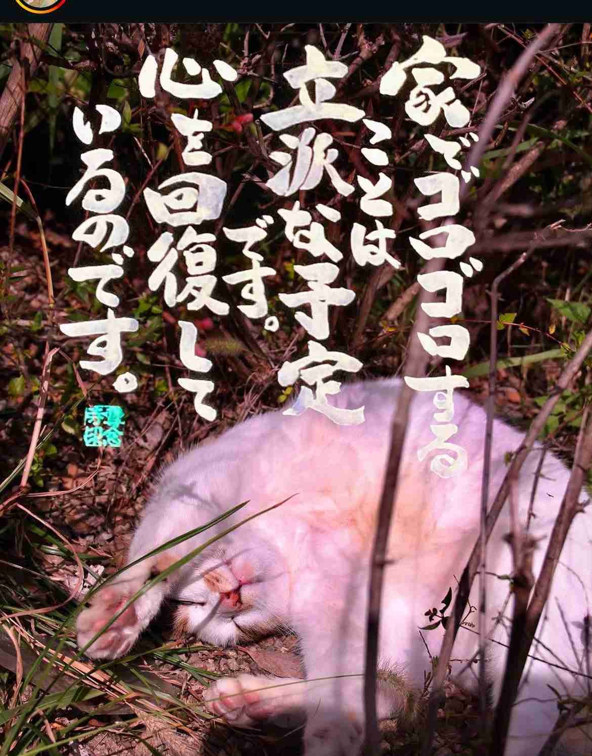 【2月】ぼっちのつどい