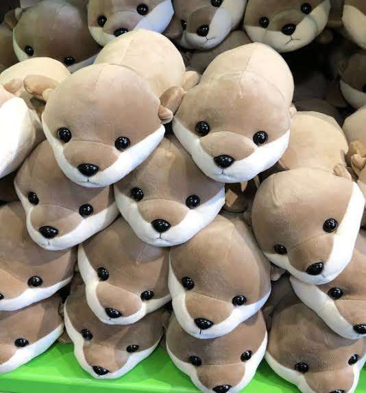 水族館、動物園、美術館、博物館のグッズが見たい
