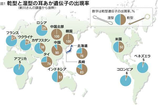 耳垢、乾いてますか?湿ってますか?