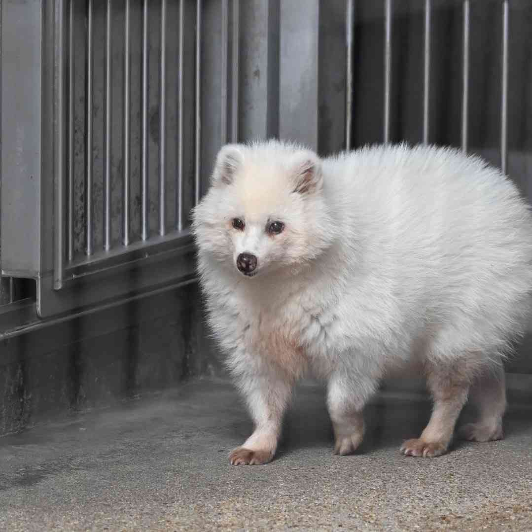 山口県について知っていること