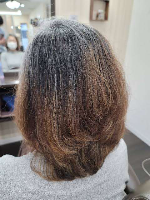 グレイヘア移行中の人