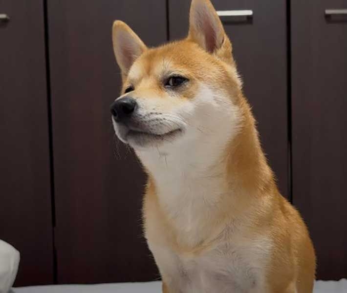 店員さん、愛想ない人増えてませんか？