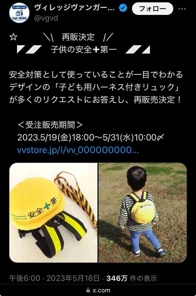 子供のハーネスは「ペットみたいで可哀想」論争に決着か 2児の母の意見が「正論すぎる」と話題