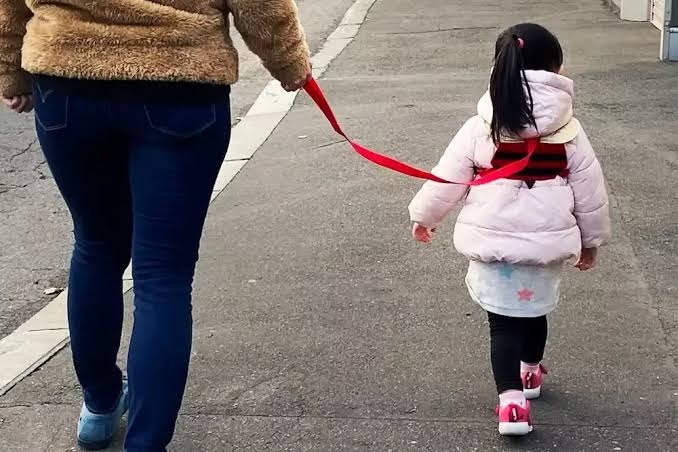 子供のハーネスは「ペットみたいで可哀想」論争に決着か 2児の母の意見が「正論すぎる」と話題