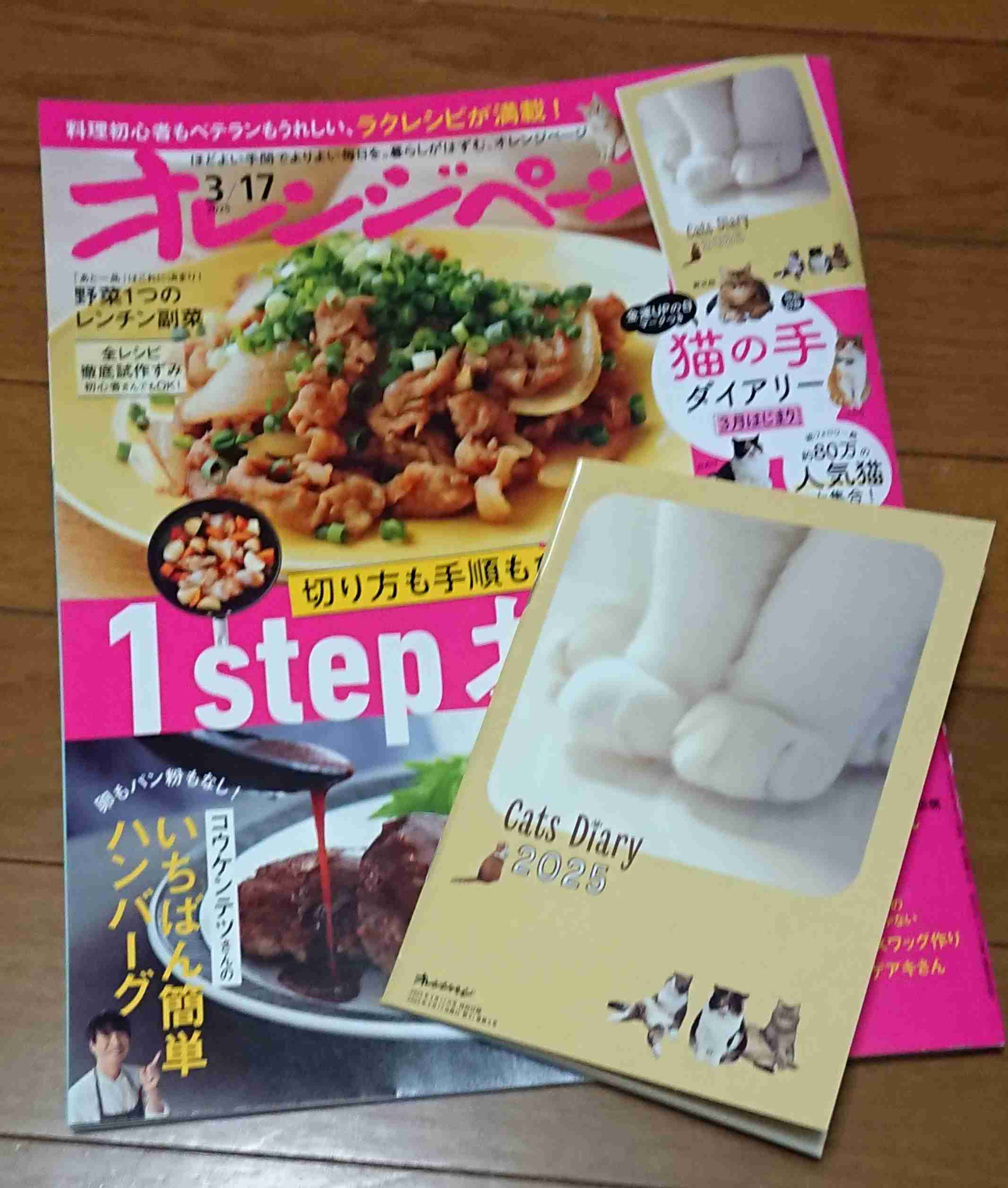 【定期トピ】雑誌付録4・5月号