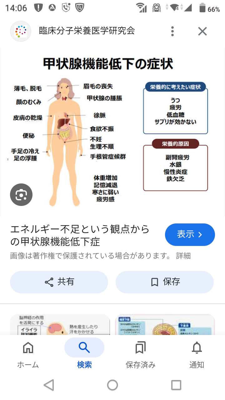 甲状腺機能低下症について
