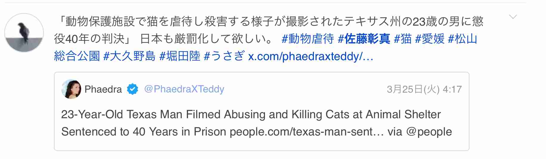 猫6匹を虐待し殺害　23歳被告に猶予付き判決　松山地裁