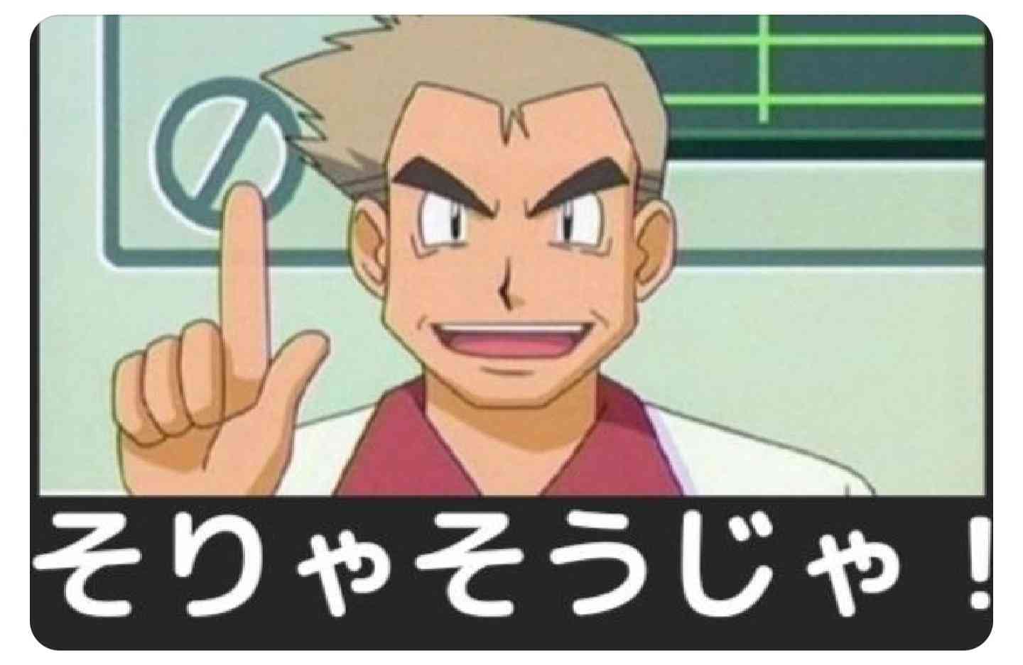 猫派が増えてませんか?