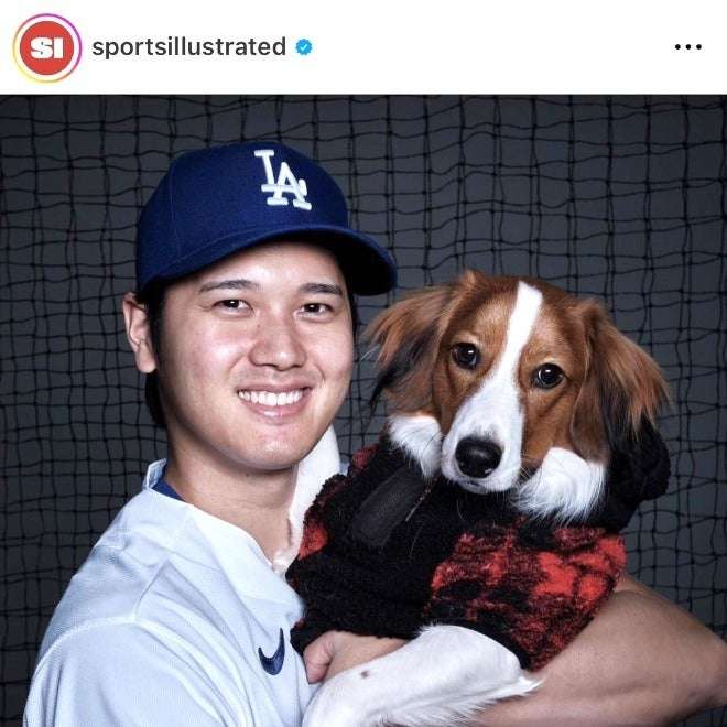 猫派が増えてませんか?