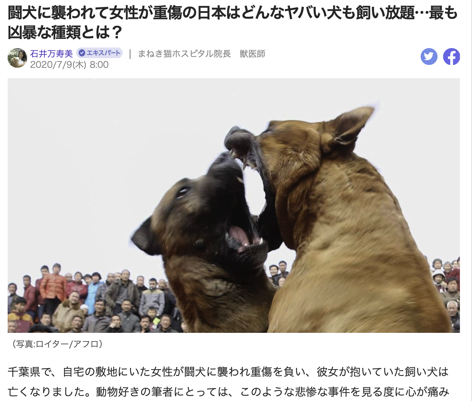 猫派が増えてませんか?