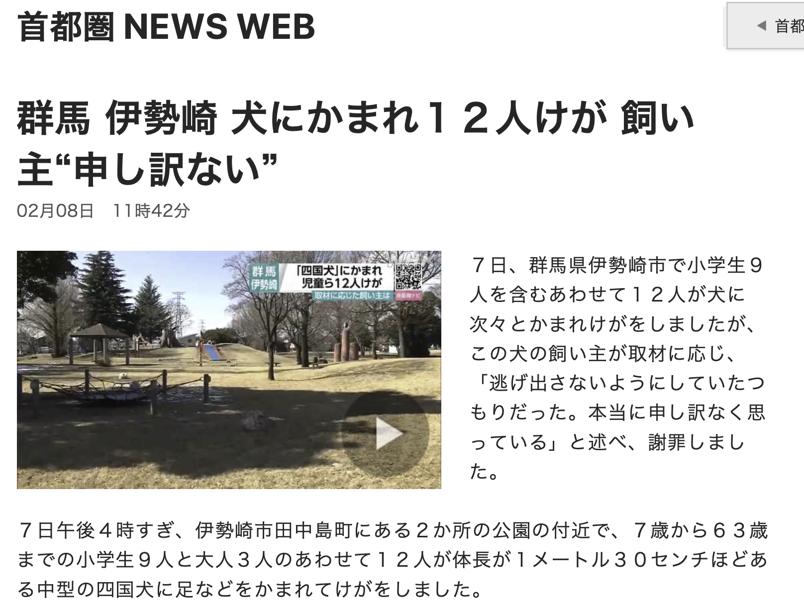 猫派が増えてませんか?