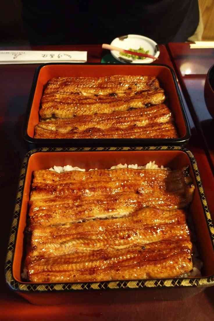 【アラフィフ】食べるのが好きなのに体が衰えてきた、、