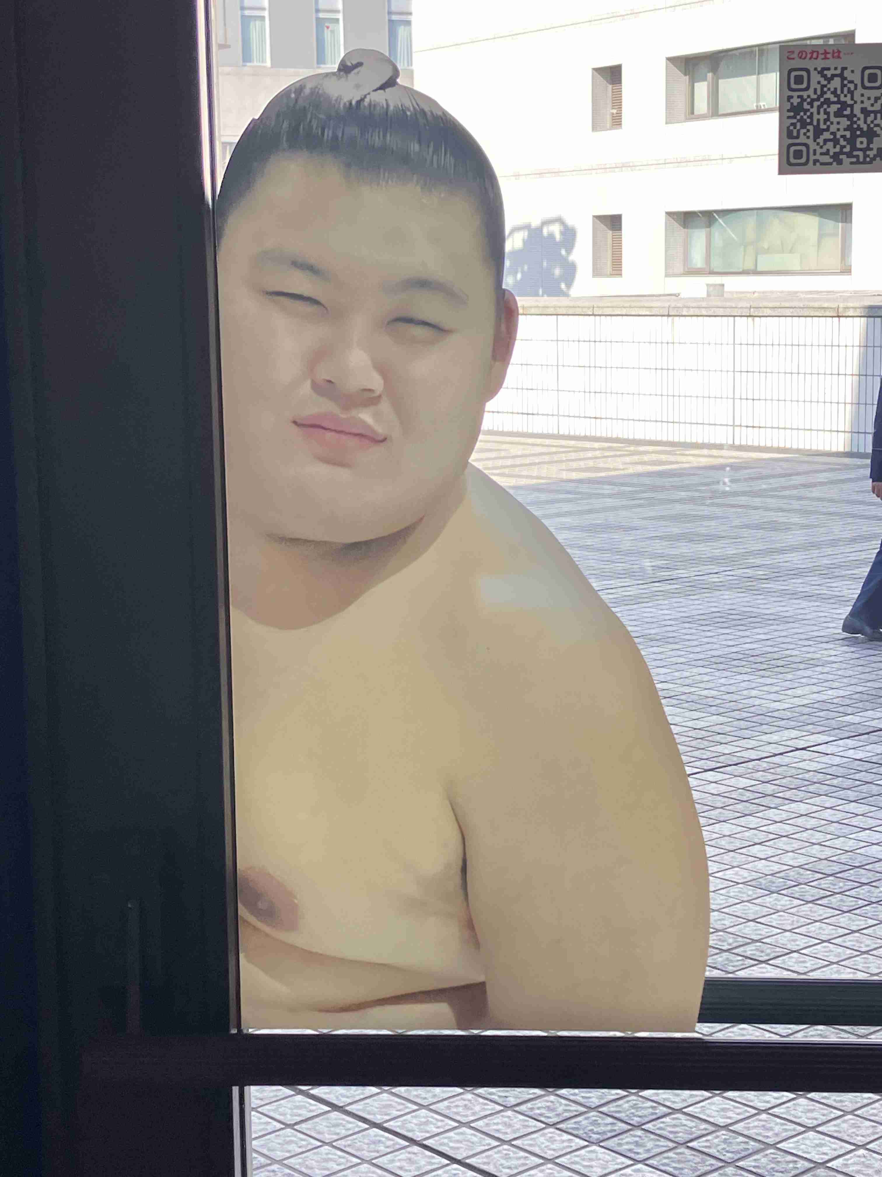 【実況・感想】大相撲3月場所を応援するトピ