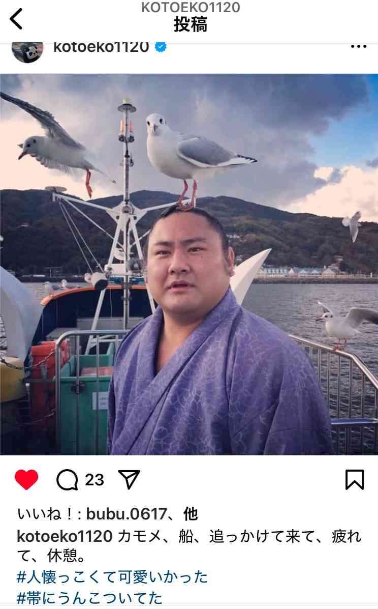 【実況・感想】大相撲3月場所を応援するトピ