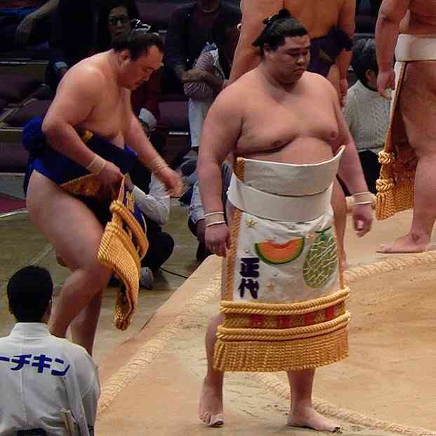 【実況・感想】大相撲3月場所を応援するトピ