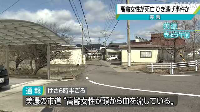 手押し車を押していた95歳女性をひき逃げし死亡させたか 軽乗用車運転の20歳男を逮捕 容疑を否認