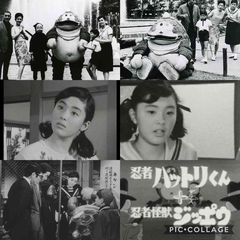松坂慶子さんで好きな作品