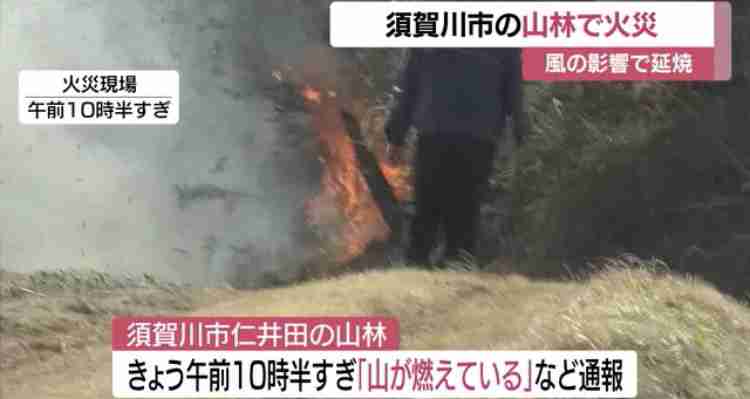 愛媛県今治市と岡山市の山林火災、延焼続く…愛媛では3848世帯7494人に避難指示