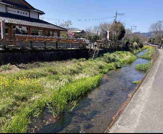 行ってみたい観光名所