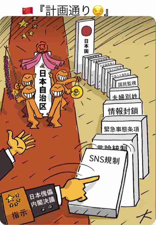 “チョロい国・日本”？…中国人富裕層への殺し文句は「日本の医療制度で高額の医療費負担を免れる」国会で経営管理ビザを議論
